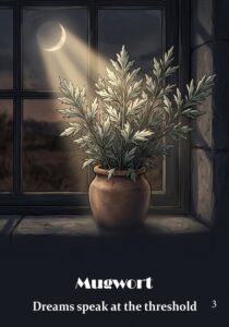 Mugwort oracle card