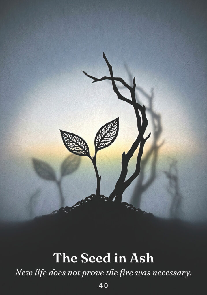 The Seed in Ash oracle card from the The Trickster Oracle deck