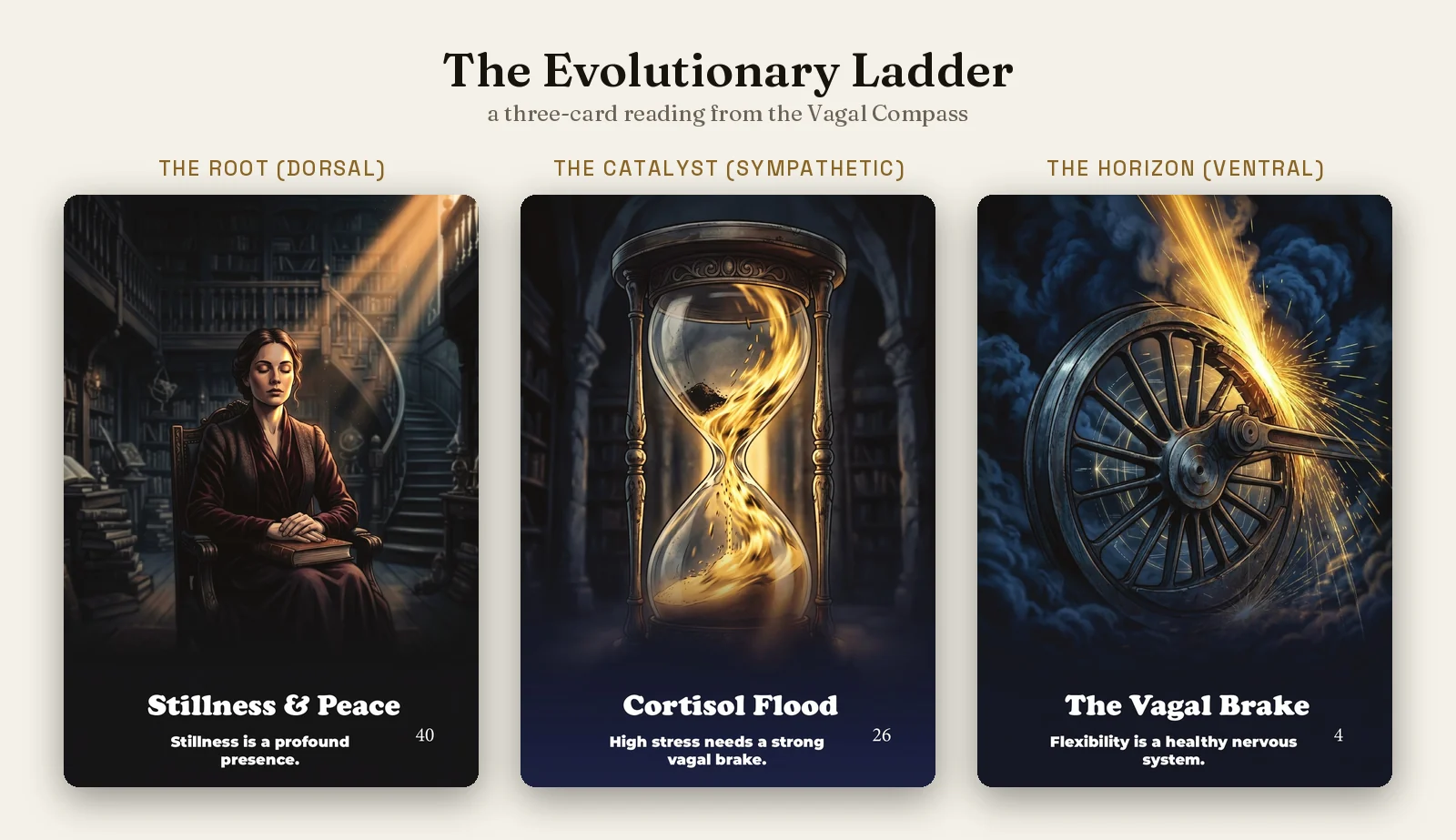 Three Vagal Compass oracle cards left to right: Stillness & Peace, Cortisol Flood, The Vagal Brake